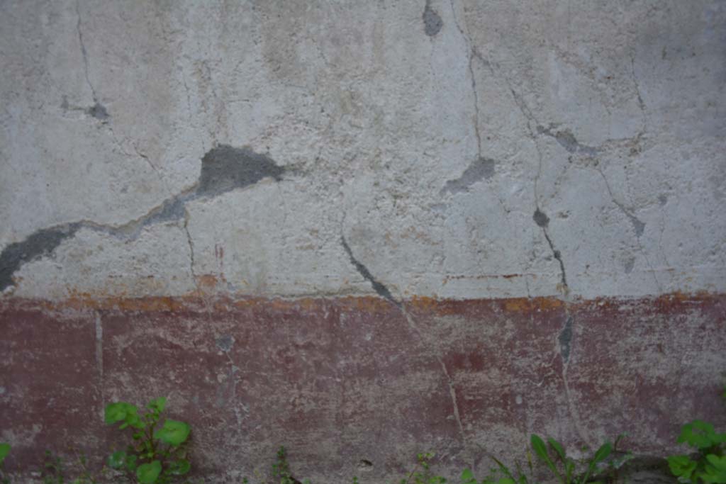 IX.5.9 Pompeii. March 2017. Room o, detail of remaining painted decoration from lower centre of south wall. 
Foto Christian Beck, ERC Grant 681269 DCOR.
