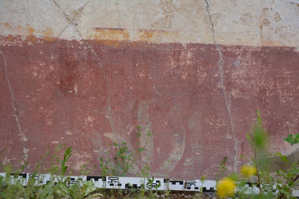 IX.5.9 Pompeii. May 2017. Room o, detail from red zoccolo on north wall, with panels with painted plants.
Foto Christian Beck, ERC Grant 681269 DCOR.
