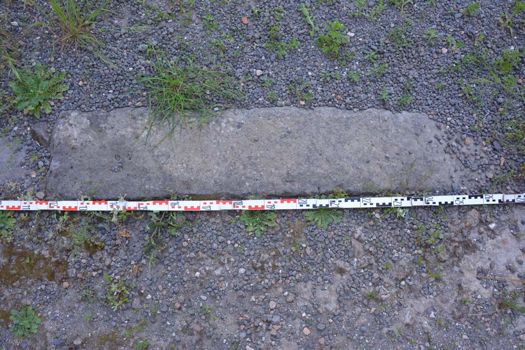 IX.5.9 Pompeii. May 2017. Room p, detail of doorway threshold towards east end.
Foto Christian Beck, ERC Grant 681269 DCOR.
