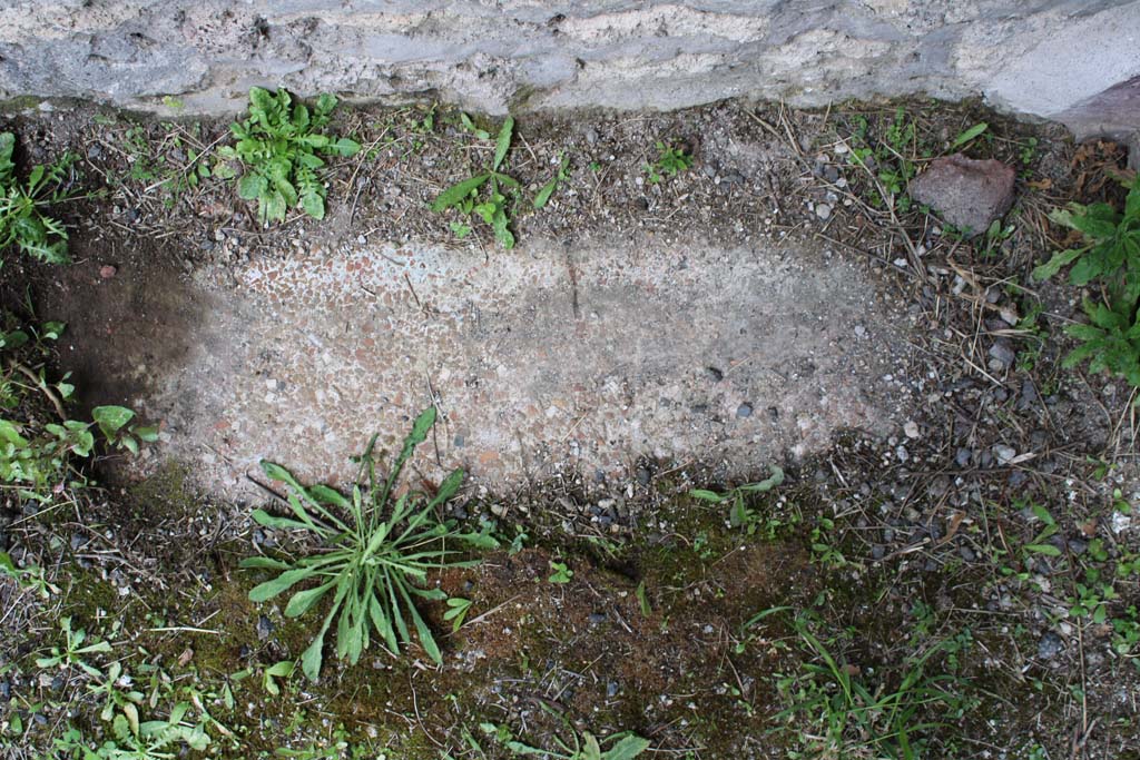 IX.5.9 Pompeii. May 2019. Room d, flooring.
Foto Christian Beck, ERC Grant 681269 DÉCOR.
