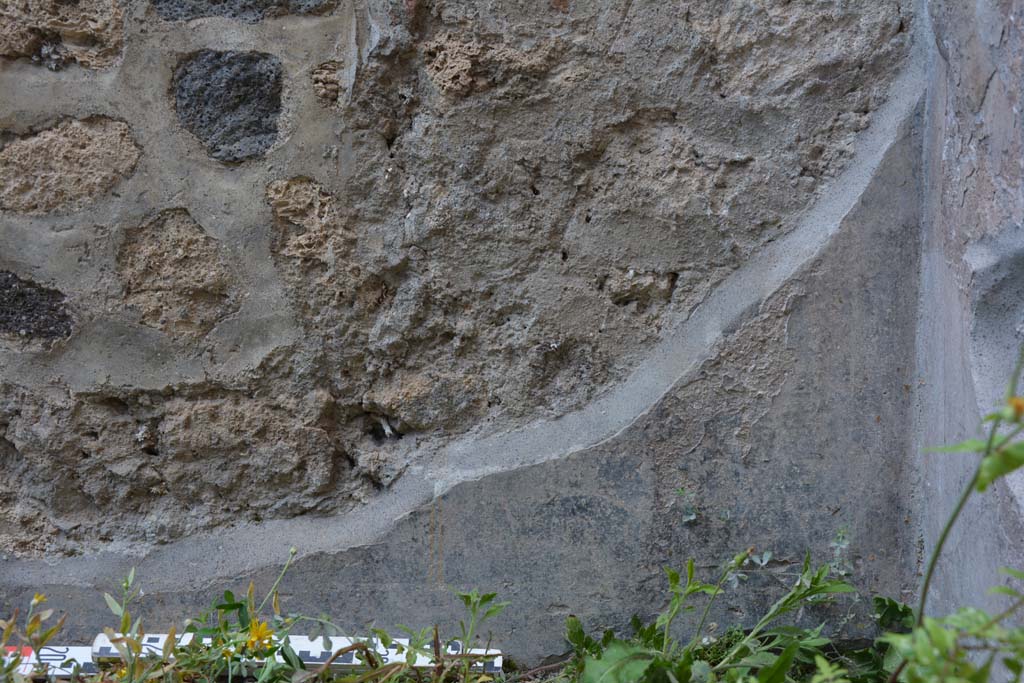 IX.5.9 Pompeii. May 2017. Room g, detail of lower north wall zoccolo in north-east corner.
Foto Christian Beck, ERC Grant 681269 DCOR.
