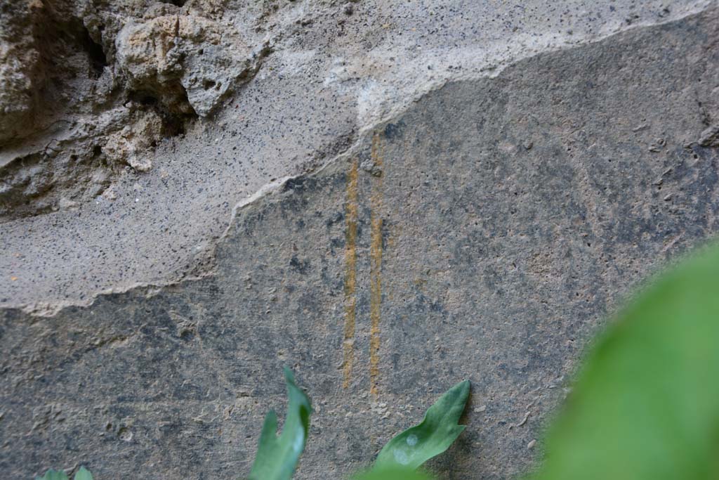 IX.5.9 Pompeii. March 2017. Room g, detail from painted lower zoccolo from north wall in north-west corner.
Foto Christian Beck, ERC Grant 681269 DCOR.
