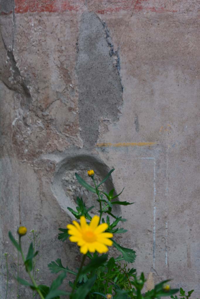 IX.5.9 Pompeii. March 2017. Room g, detail from lower east wall in north-east corner.
Foto Christian Beck, ERC Grant 681269 DCOR.

