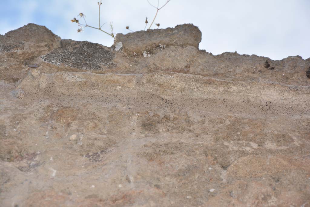 IX.5.9 Pompeii. May 2017. Room h, detail from upper north wall at east end.
Foto Christian Beck, ERC Grant 681269 DCOR.
