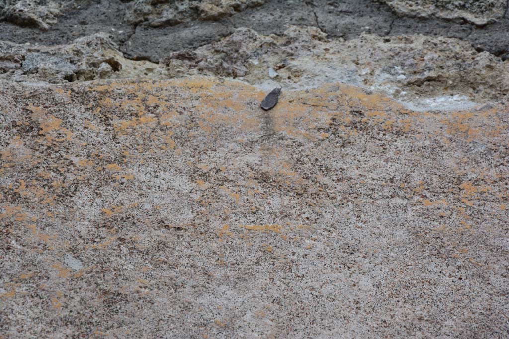 IX.5.9 Pompeii. March 2017. Room h, upper east wall.
Foto Christian Beck, ERC Grant 681269 DCOR.
