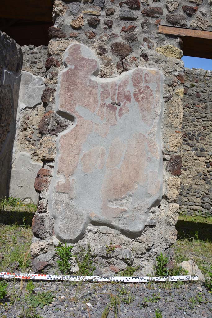 IX.5.9 Pompeii. May 2017. 
Room i, detail of painted plaster on pilaster between two doorways of room m. 
Foto Christian Beck, ERC Grant 681269 DCOR.
