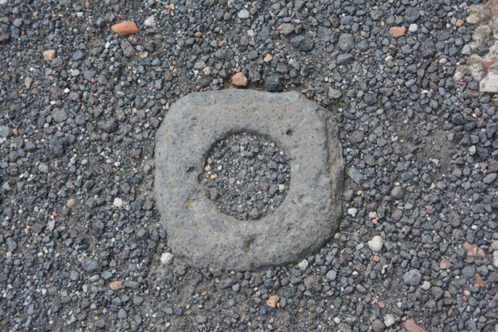 IX.5.9 Pompeii. March 2017. Room “a”, detail from flooring.
Foto Christian Beck, ERC Grant 681269 DÉCOR.
