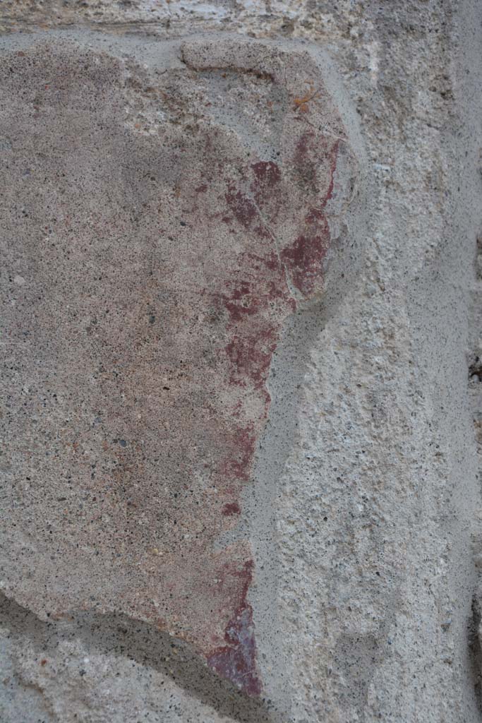 IX.5.10 Pompeii. May 2017. 
Detail of remaining painted decoration on east side of entrance doorway.
Foto Christian Beck, ERC Grant 681269 DCOR.

