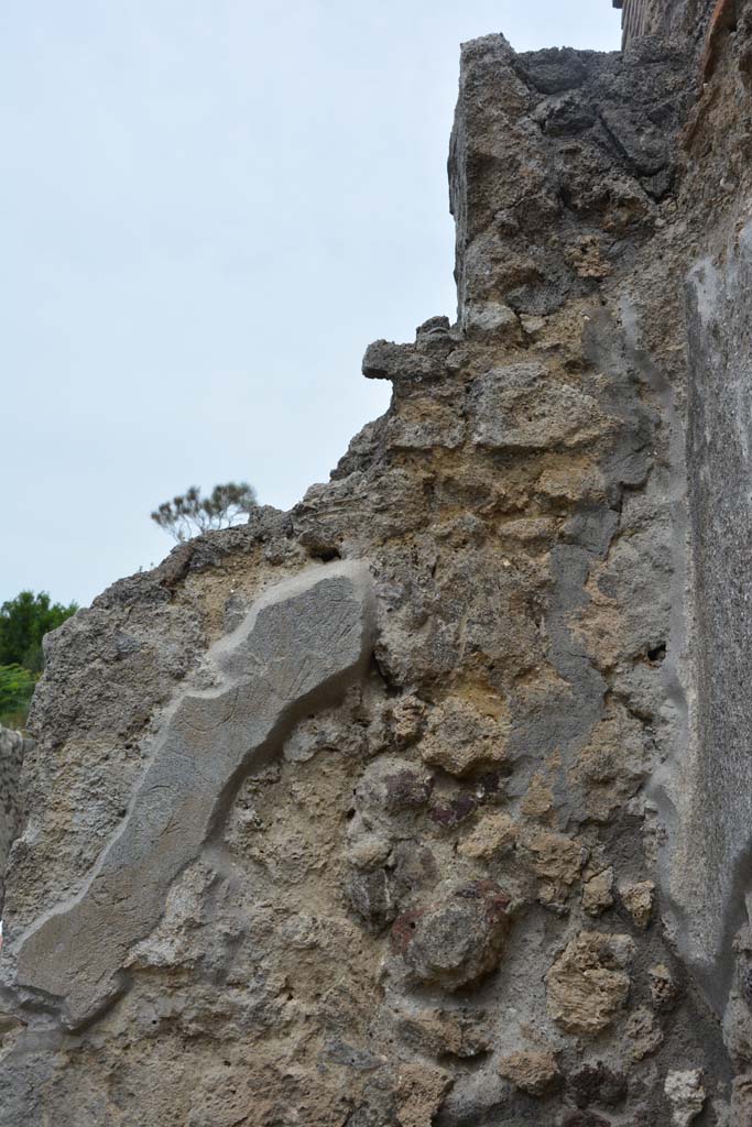 IX.5.10 Pompeii. May 2017. Detail from upper north wall in north-east corner.
Foto Christian Beck, ERC Grant 681269 DCOR.
