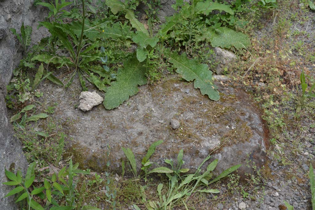 IX.5.10 Pompeii. May 2017. Detail from near west wall.
Foto Christian Beck, ERC Grant 681269 DCOR.
