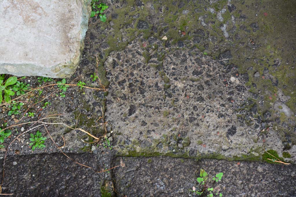 IX.5.11 Pompeii. March 2017. Room m, detail of flooring at north end, looking south.
Foto Christian Beck, ERC Grant 681269 DCOR.
