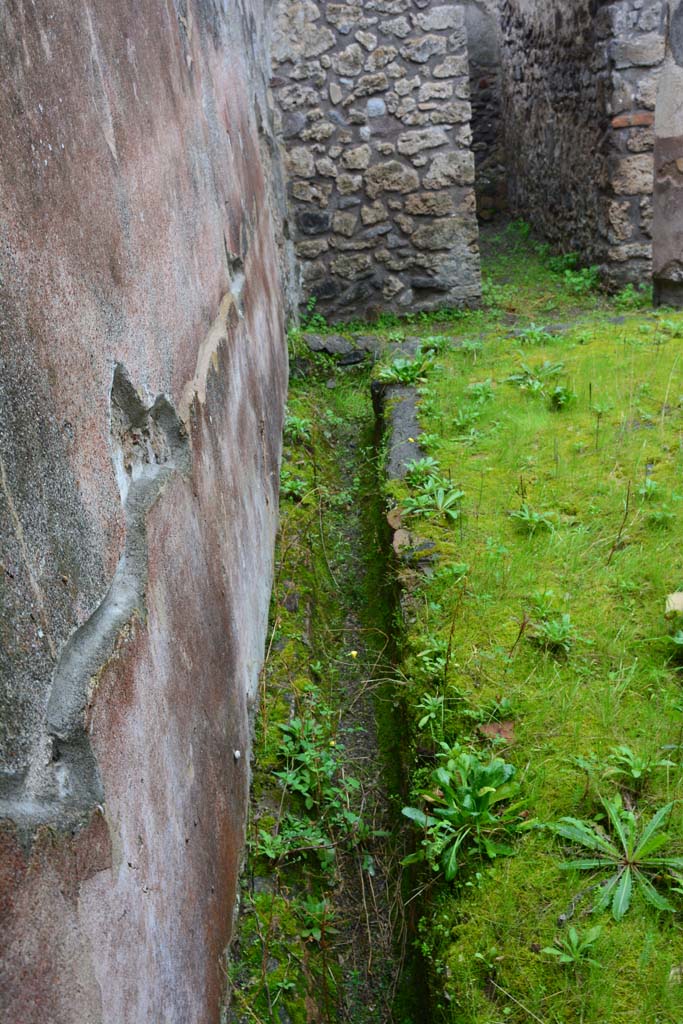 IX.5.11 Pompeii. May 2017. Peristyle n, detail from rear of triclinium.
Foto Christian Beck, ERC Grant 681269 DÉCOR.

