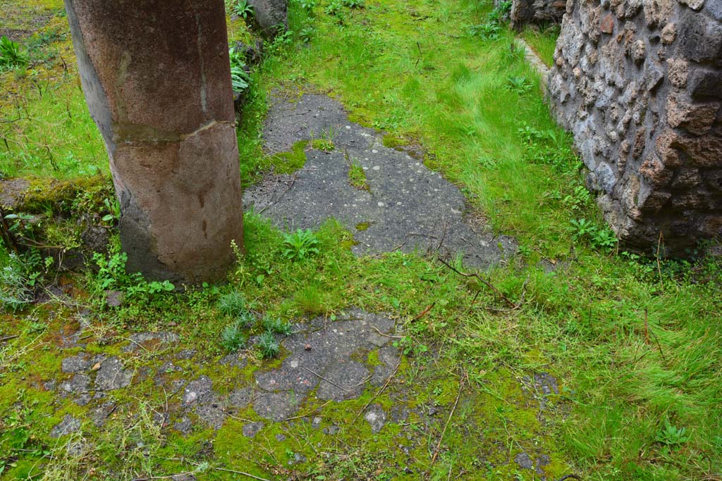 IX.5.11 Pompeii. March 2017. Peristyle n, looking towards south-east corner from west side. 
Foto Christian Beck, ERC Grant 681269 DÉCOR.

