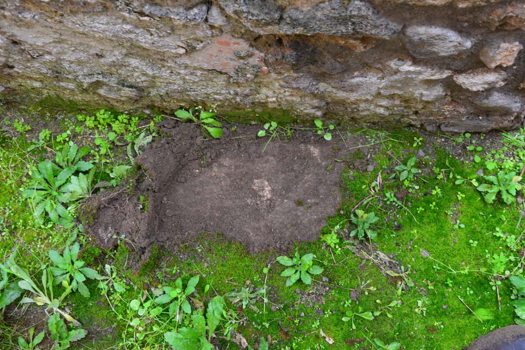 IX.5.11 Pompeii. March 2017. Room u, detail from near south wall.
Foto Christian Beck, ERC Grant 681269 DCOR.

