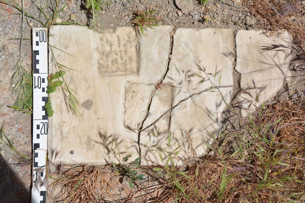 IX.5.11 Pompeii. May 2017. Room l (L), detail of marble threshold on south end of tablinum.
Foto Christian Beck, ERC Grant 681269 DCOR.
