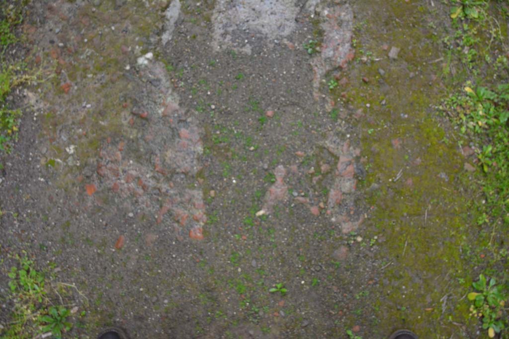 IX.5.11 Pompeii. March 2017. Entrance corridor/fauces, detail from flooring.  
Foto Christian Beck, ERC Grant 681269 DÉCOR.
