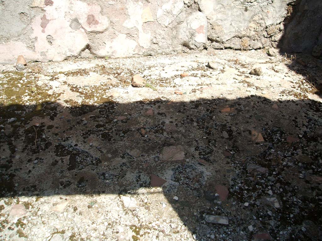 IX.5.14 Pompeii. May 2005. Cubiculum L, detail of floor.
Looking north through doorway to cubiculum L, on north side of portico.
The cocciopesto floor was scattered with limestone flakes. 
The zoccolo of this room would have been painted to show a pattern of false marble.
In the centre of the north wall were the remains of a painting of Narcissus on a red background, the side panels were yellow. 
The upper zone of the wall was also red.
On the east wall, but almost completely lost, was a painting showing a sleeping Maenad surprised by a Satyr.
This wall also had a painted false marble zoccolo, central red panel and on the yellow side panels were painted medallions.
On the south wall, with a similar painted zoccolo, but on a yellow middle zone were the remains of a painting with fishes.
On the west wall, the middle of the wall was painted with yellow panels containing medallions showing two birds eating; a stretched garland was seen on a red panel.
See Notizie degli Scavi di Antichit, 1878, p. 185.
See Bullettino dellInstituto di Corrispondenza Archeologica (DAIR), 1879, p. 265.
