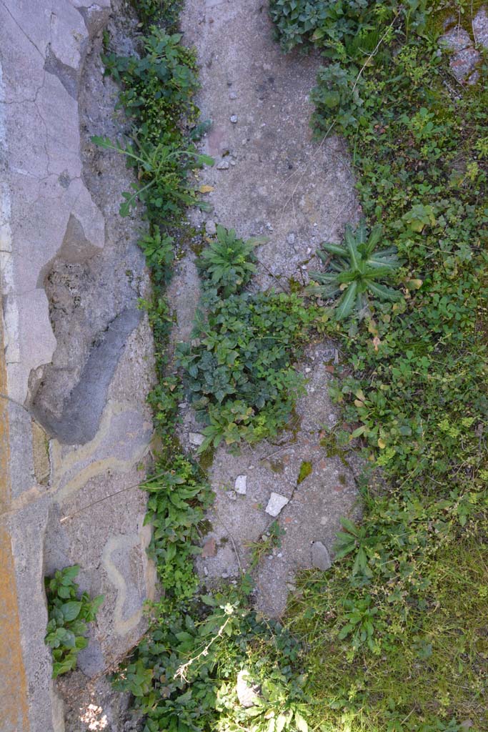 IX.5.14 Pompeii. May 2017. Room L, flooring.
Foto Christian Beck, ERC Grant 681269 DCOR.
