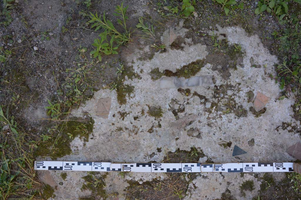 IX.5.14 Pompeii. May 2017. Room L, detail of flooring.
Foto Christian Beck, ERC Grant 681269 DCOR.

