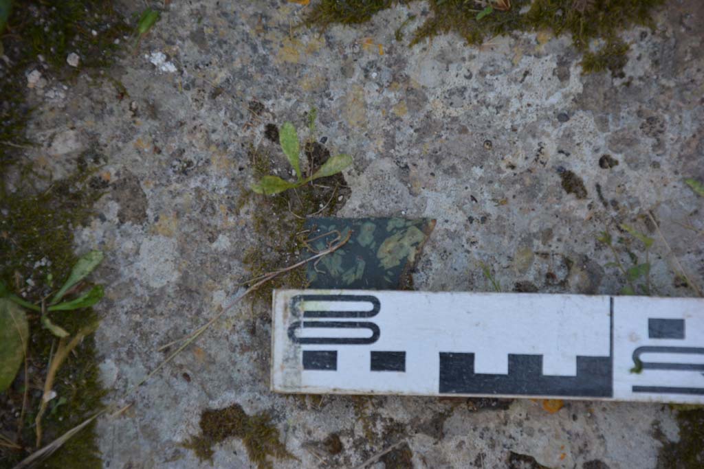 IX.5.14 Pompeii. May 2017. Room L, detail of flooring.
Foto Christian Beck, ERC Grant 681269 DCOR.
