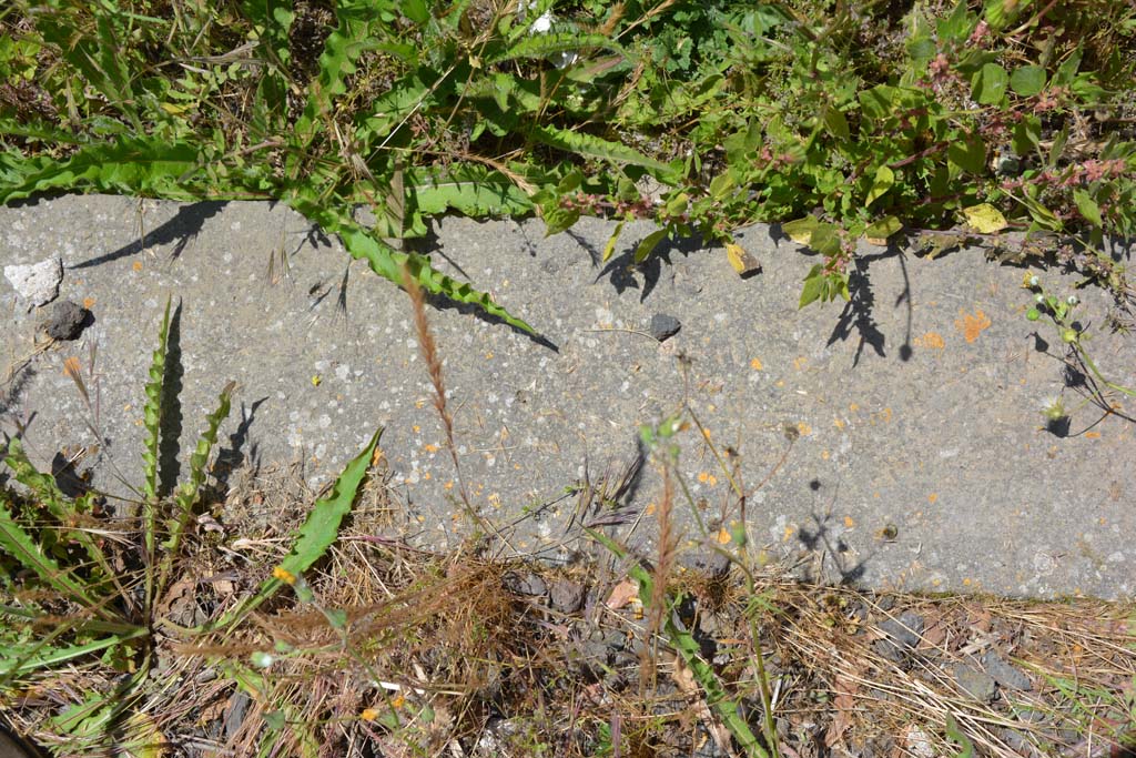 IX.5.14 Pompeii. May 2017. Peristyle k, threshold of doorway to servants area.
Foto Christian Beck, ERC Grant 681269 DCOR.
