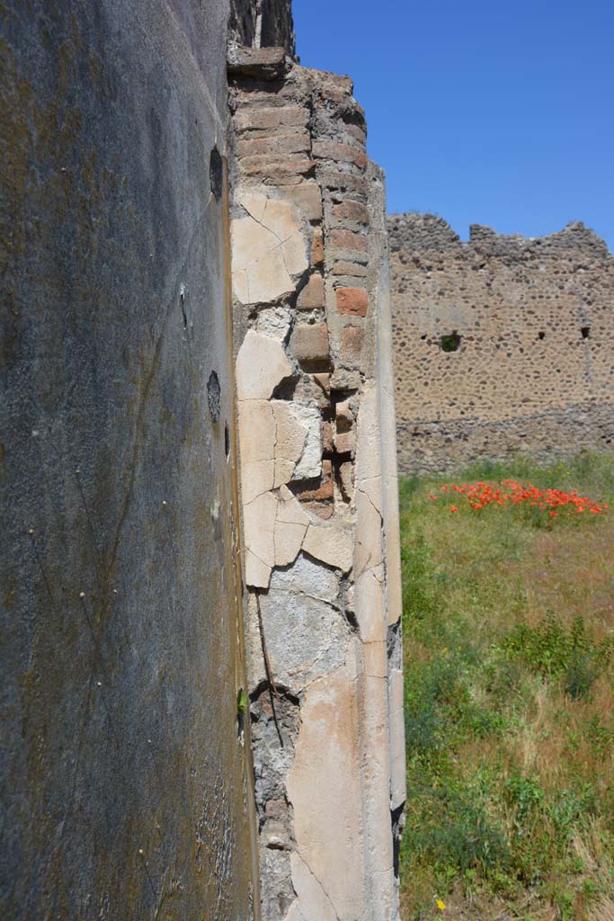 IX.5.14 Pompeii. May 2017. 
Peristyle k, looking north to detail of half-pilaster on west wall in south-west corner.
Foto Christian Beck, ERC Grant 681269 DCOR.
