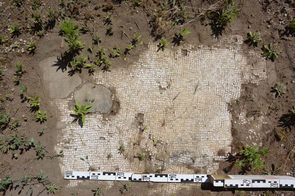 IX.5.14 Pompeii. May 2017. Room m, flooring.
Foto Christian Beck, ERC Grant 681269 DCOR.
