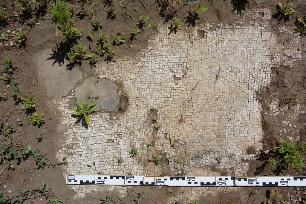  
IX.5.14 Pompeii. May 2017. Room m, detail of white mosaic flooring.
Foto Christian Beck, ERC Grant 681269 DCOR.

