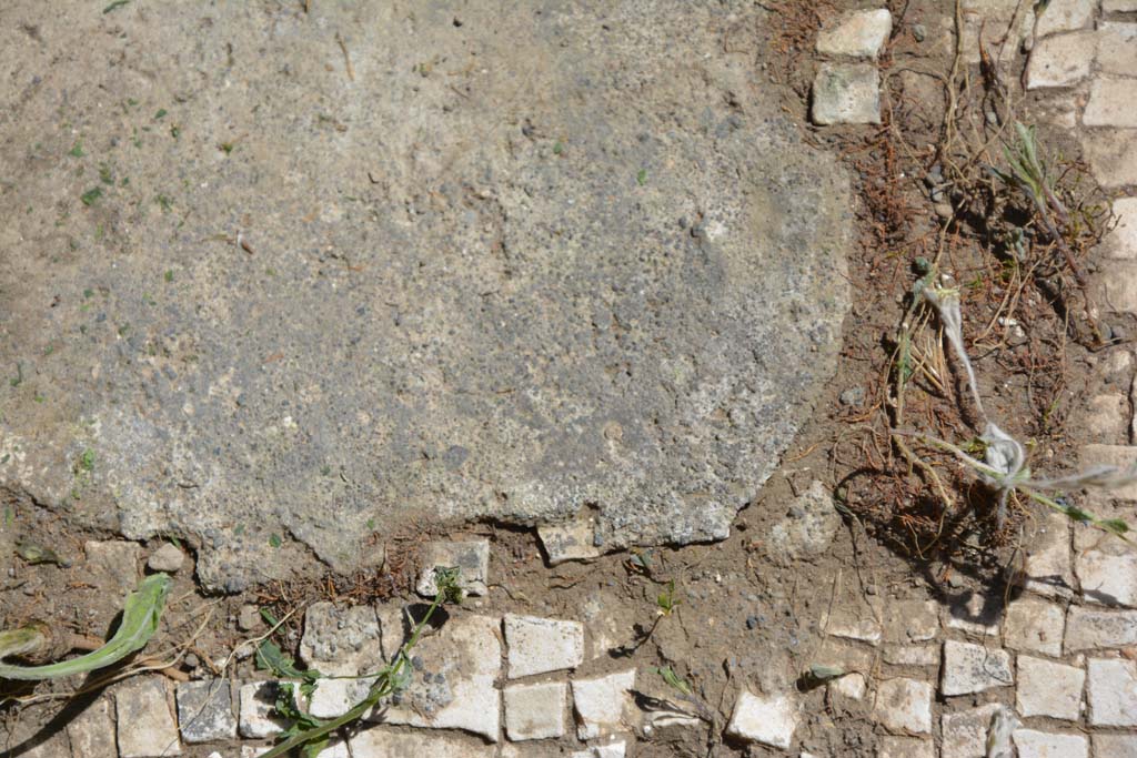 IX.5.14 Pompeii. May 2017. Room m, detail of mosaic flooring.
Foto Christian Beck, ERC Grant 681269 DCOR.
