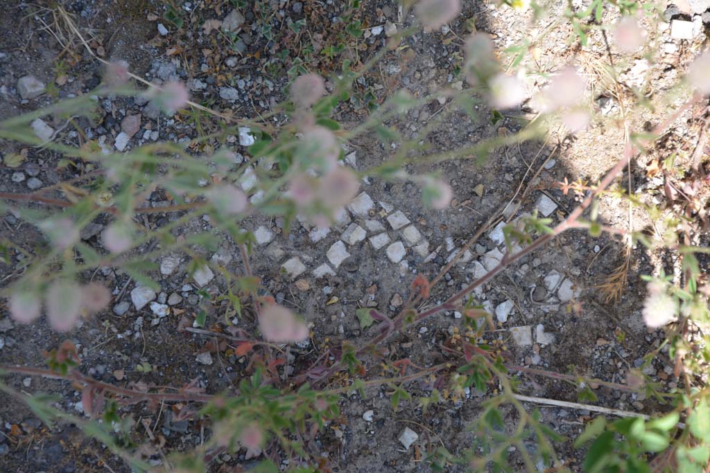 IX.5.14 Pompeii. May 2017. Room m, remaining white mosaic in floor.
Foto Christian Beck, ERC Grant 681269 DCOR.

