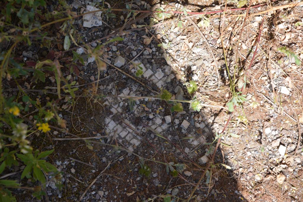 IX.5.14 Pompeii. May 2017. Room m, remaining white mosaic in floor.
Foto Christian Beck, ERC Grant 681269 DCOR.

