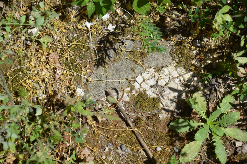 IX.5.14 Pompeii. May 2017. Room m, remaining white mosaic in floor.
Foto Christian Beck, ERC Grant 681269 DCOR.

