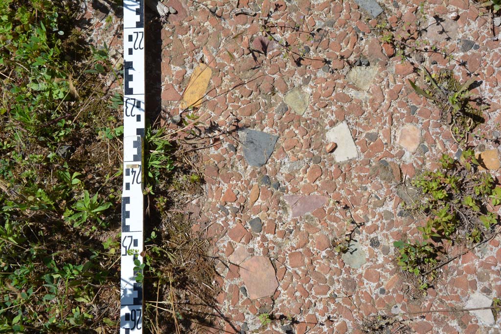 IX.5.14 Pompeii. May 2017. Room n, detail of flooring.
Foto Christian Beck, ERC Grant 681269 DCOR.
