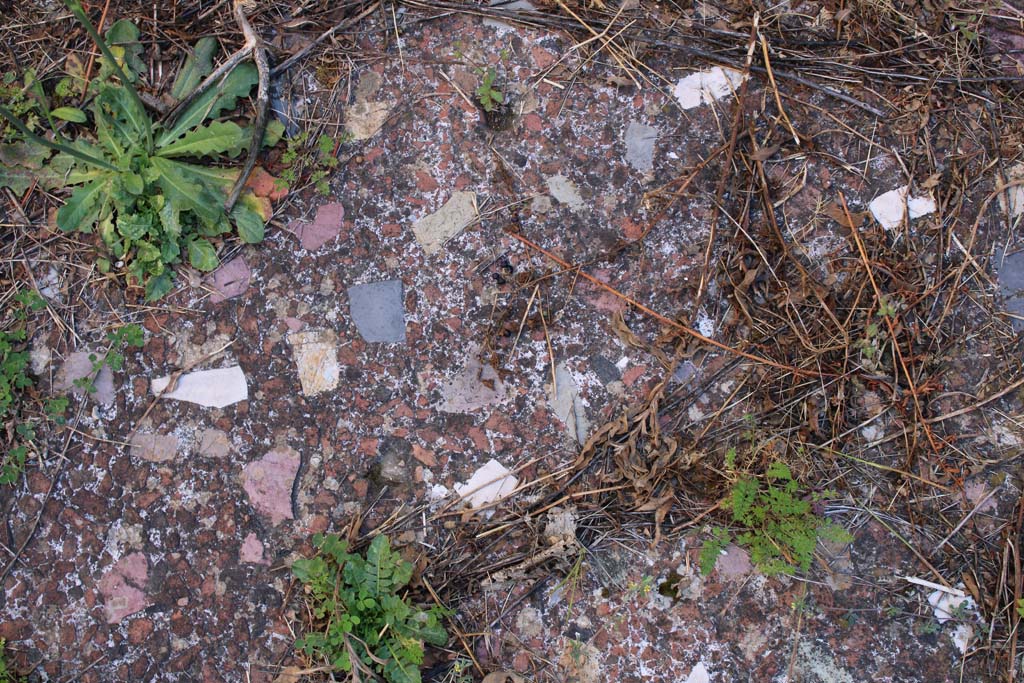 IX.5.14 Pompeii. May 2019. Room n, detail of flooring.
Foto Christian Beck, ERC Grant 681269 DCOR.
