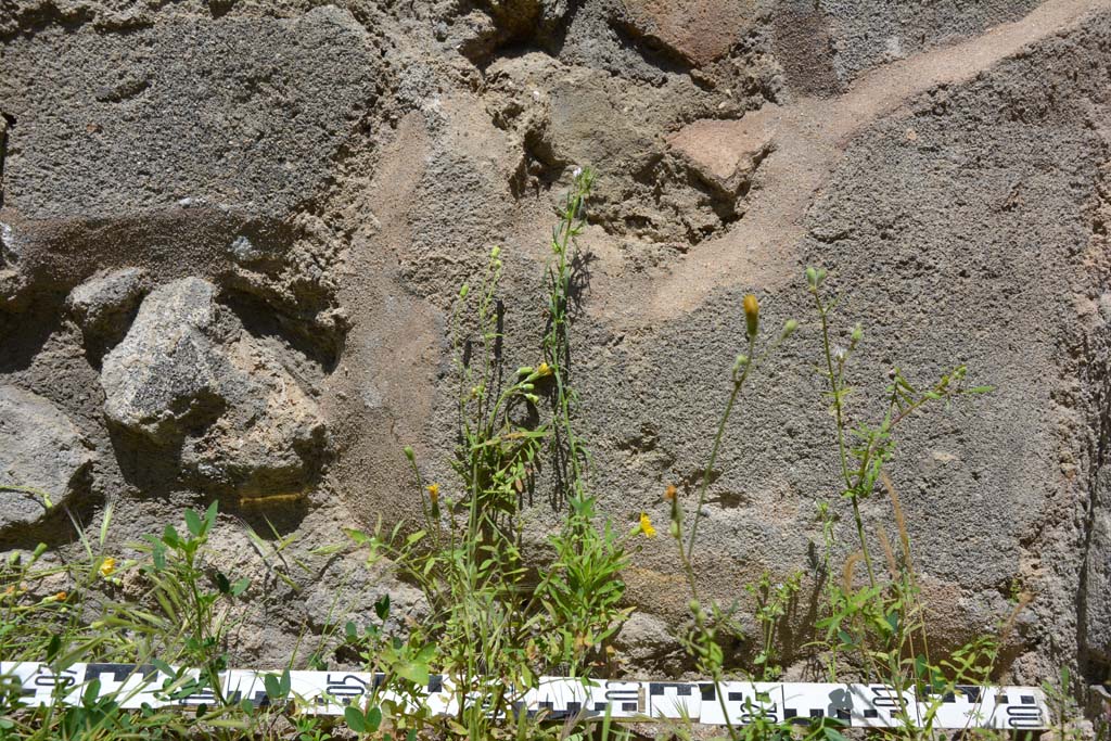 IX.5.14 Pompeii. May 2017. Corridor “p”, detail from north wall.  
Foto Christian Beck, ERC Grant 681269 DÉCOR.
