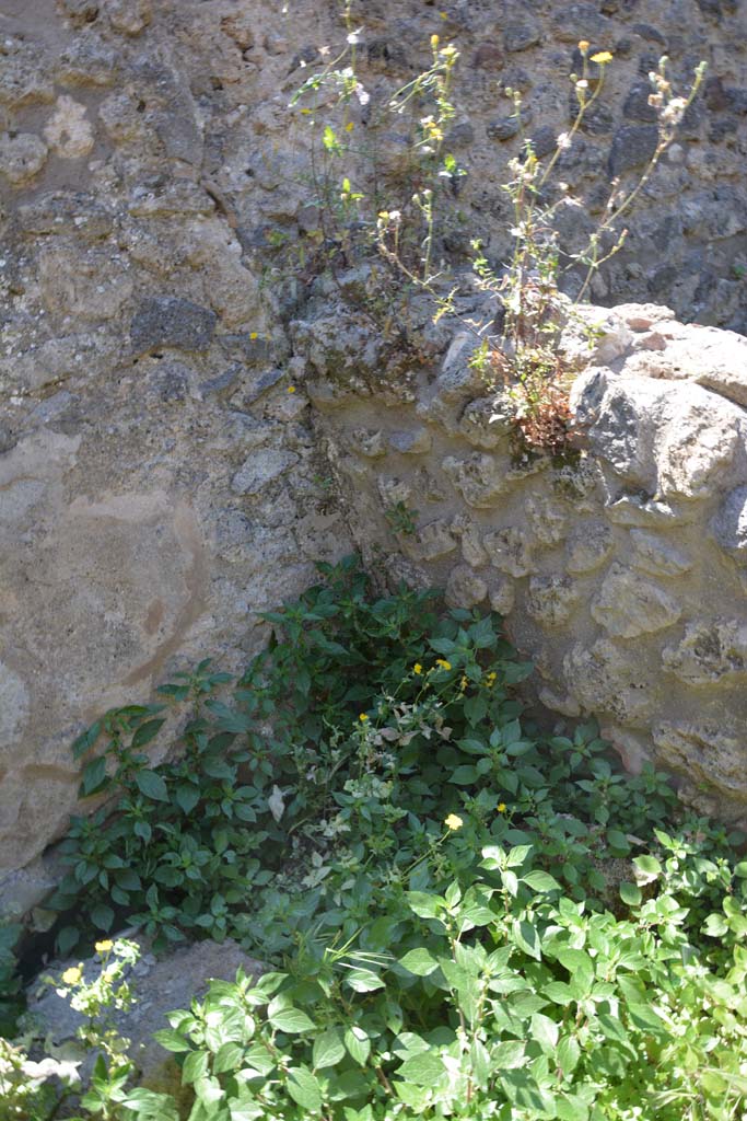 IX.5.14 Pompeii. May 2017. Room “t”, detail from lower south-west corner. 
Foto Christian Beck, ERC Grant 681269 DÉCOR.
