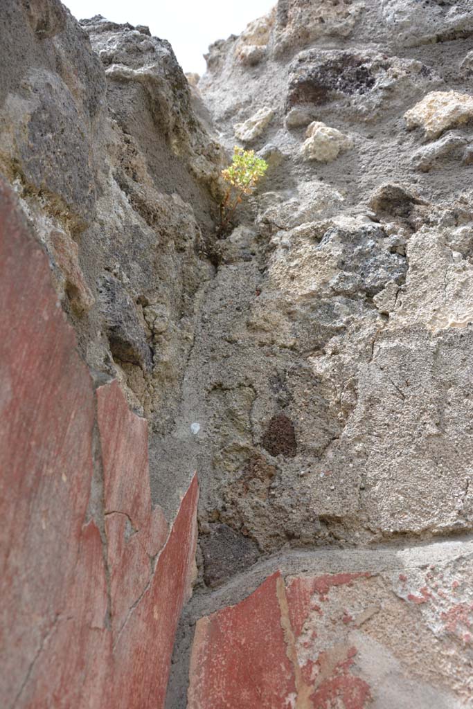 IX.5.14 Pompeii. May 2017. Room “b”, detail from upper north-west corner.
Foto Christian Beck, ERC Grant 681269 DÉCOR.
