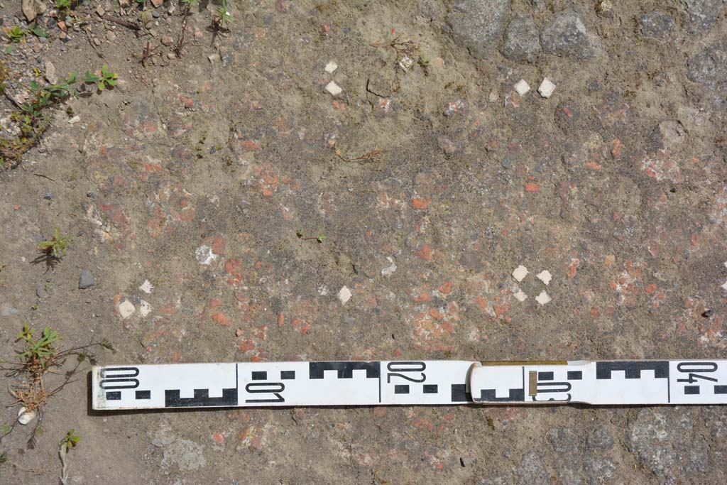 IX.5.14 Pompeii. May 2017. Room “b”, detail of flooring in atrium.
Foto Christian Beck, ERC Grant 681269 DÉCOR.
