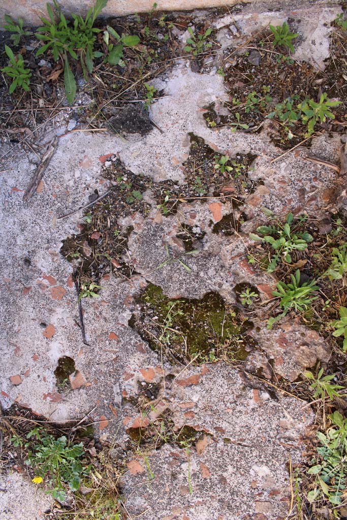 IX.5.14 Pompeii. May 2019. Room f, flooring in north-east corner.
Foto Christian Beck, ERC Grant 681269 DCOR.
