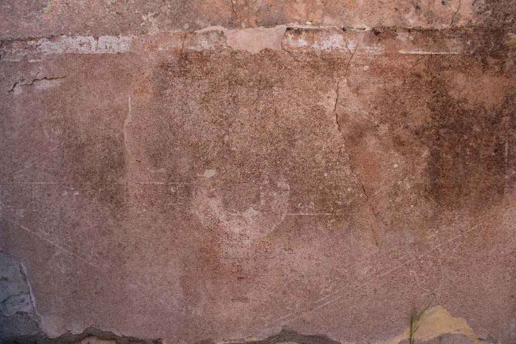 IX.5.14 Pompeii. May 2019. Room f, zoccolo on east wall at north end.
Foto Christian Beck, ERC Grant 681269 DCOR.
