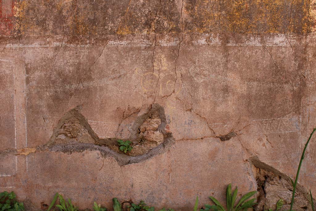 IX.5.14 Pompeii. May 2019. Room f, zoccolo on south wall.
Foto Christian Beck, ERC Grant 681269 DCOR.

