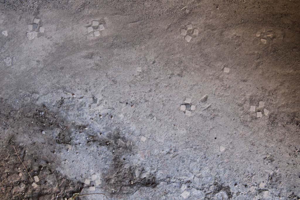 IX.5.14 Pompeii. May 2019. 
Room b, the atrium floor, similar to room c, comprised of four white stones forming a cross with a black centre, separated by a single white stone.
Foto Christian Beck, ERC Grant 681269 DCOR.

