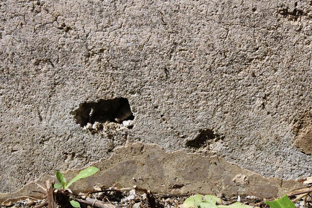 IX.5.14 Pompeii. May 2019. Room e, lower west wall of north ala, 
Foto Christian Beck, ERC Grant 681269 DCOR.

