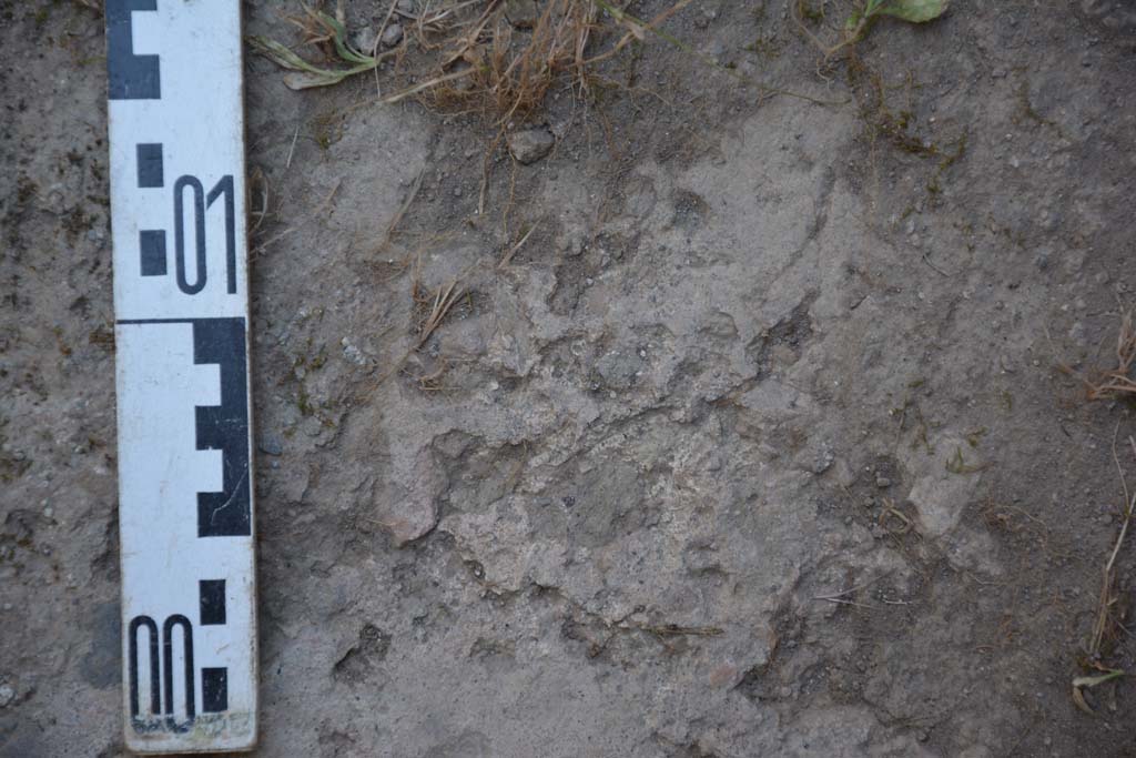 IX.5.17/6 Pompeii. May 2017. Room x, detail of flooring.
Foto Christian Beck, ERC Grant 681269 DCOR.

