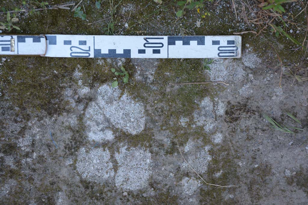 IX.5.17/6 Pompeii. May 2017. Room y, detail of flooring in corridor.
Foto Christian Beck, ERC Grant 681269 DÉCOR.
