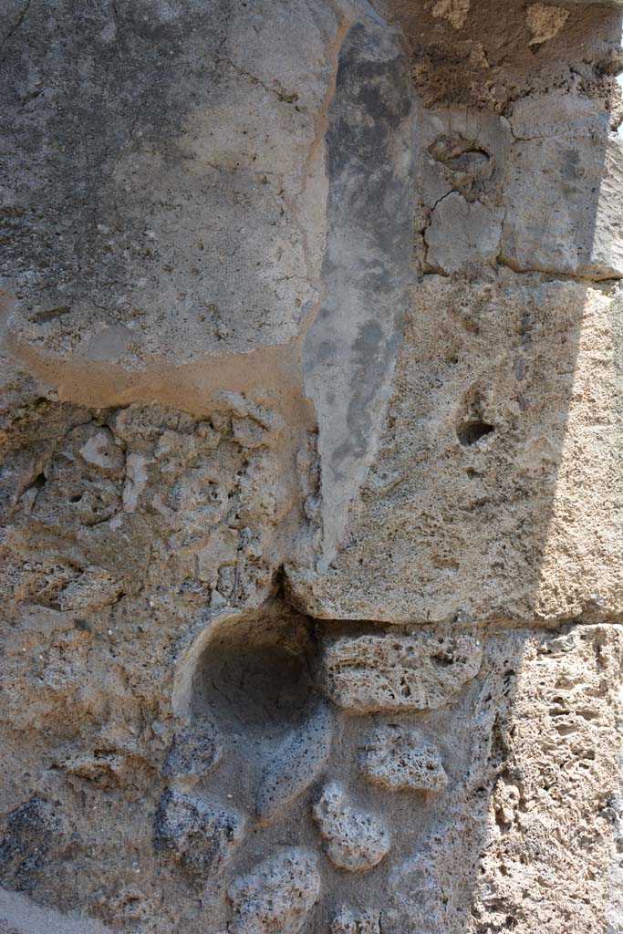 IX.5.6 Pompeii. May 2017. 
Room y, detail from east wall in corridor, near entrance doorway.
Foto Christian Beck, ERC Grant 681269 DÉCOR.
