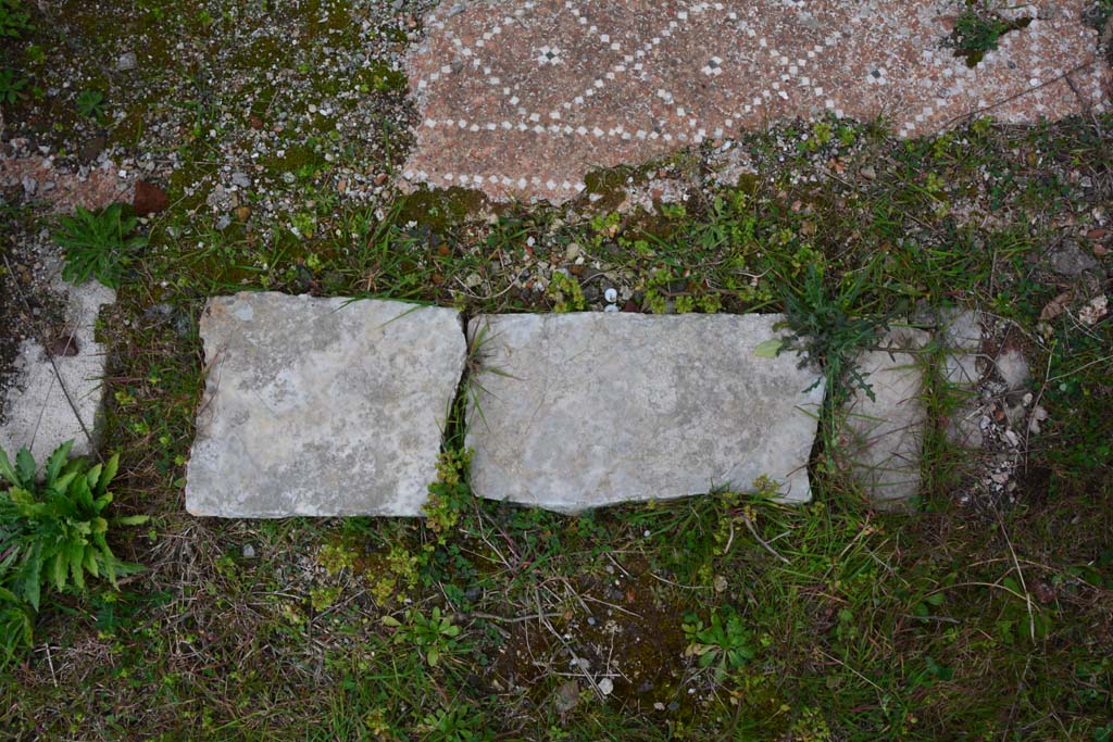 IX.5.18 Pompeii. March 2017. Room p, detail of threshold from corridor q.
Foto Christian Beck, ERC Grant 681269 DÉCOR.



