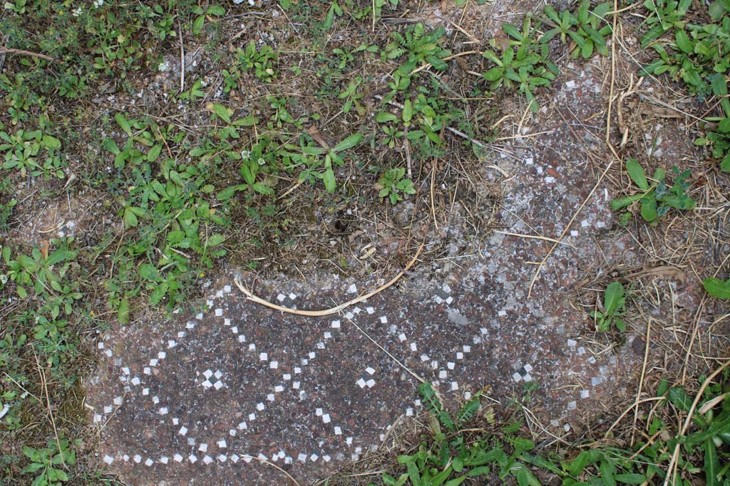 IX.5.18 Pompeii. May 2019. Room p, detail of decorative flooring from same corner as photo, above and below.
Foto Christian Beck, ERC Grant 681269 DÉCOR.

