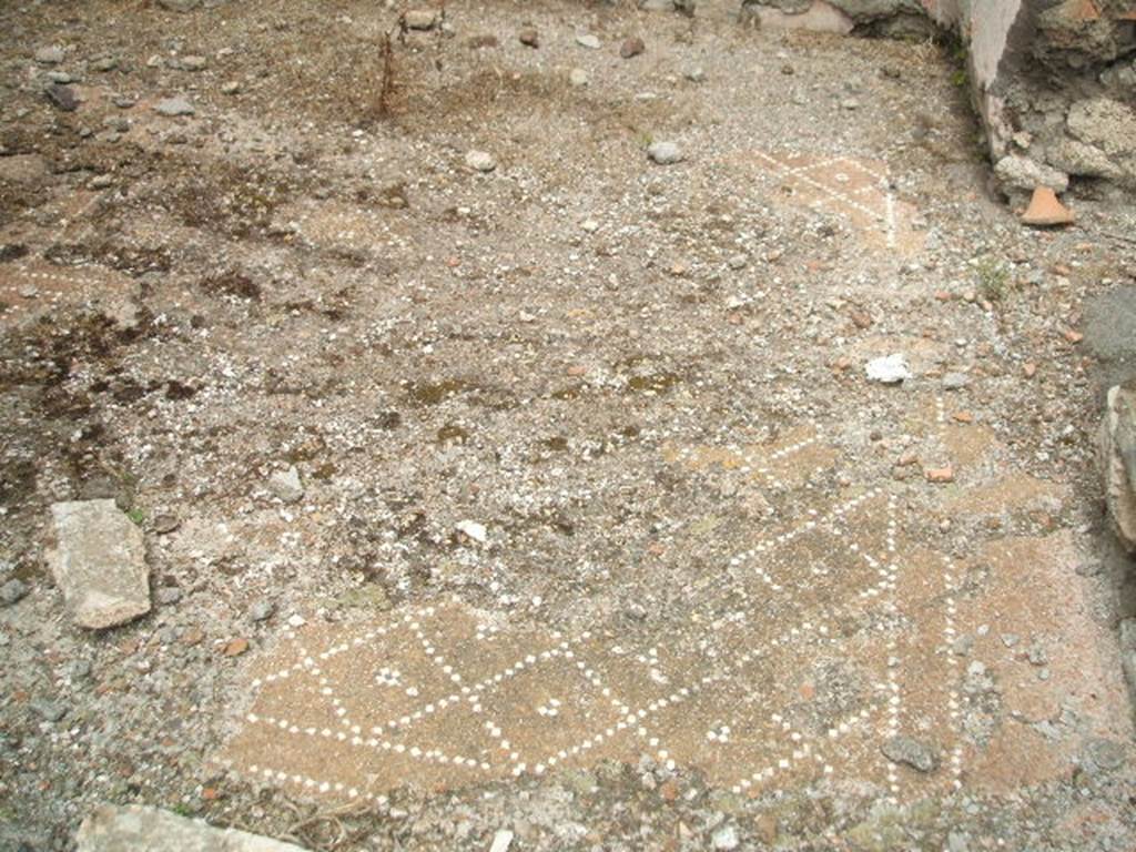 IX.5.18 Pompeii. May 2005. Room p, decorative floor in cubiculum with two doors, on north side of corridor.