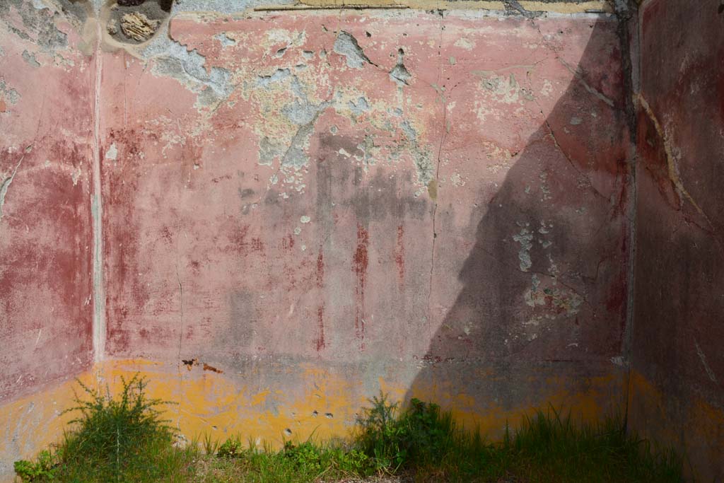 IX.5.18 Pompeii. March 2017. Room n, looking towards east wall with painted central candelabra with a bird perched on top.
Foto Christian Beck, ERC Grant 681269 DÉCOR.

